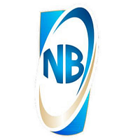 Nigerian Breweries logo