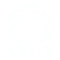 Anil Neerukonda Institute of Technology and Sciences logo