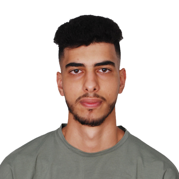 ali ali