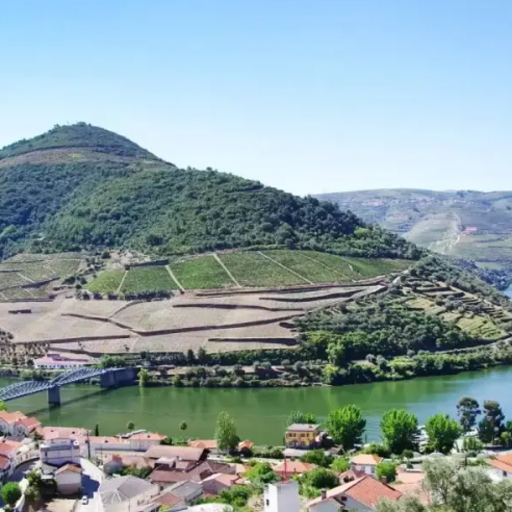 Douro Tours logo