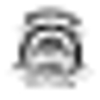 North Maharashtra University logo