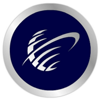 Management & Strategy Institute logo