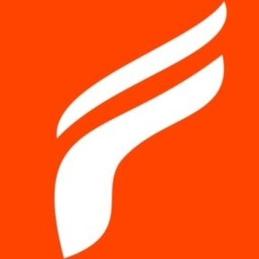 Fleek IT Solutions logo