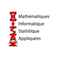 MISA Madagascar logo