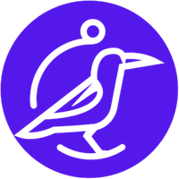 Perch Insights logo
