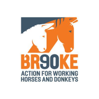 The Brooke logo