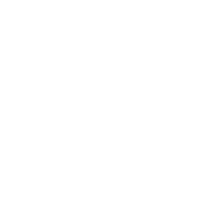 Vistula University logo