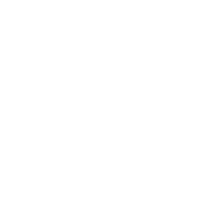 STF Consultancy logo