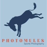 PhotoMules logo