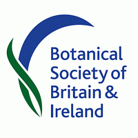 Berlin School of Business and Innovation logo