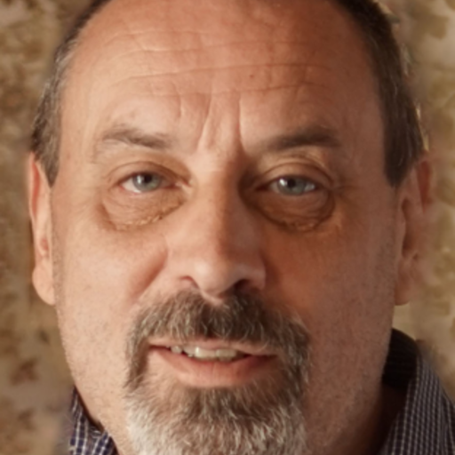 Laurent Plisson