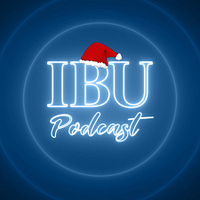 International Burch University logo