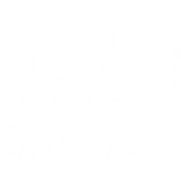 Bharati Vidyapeeth University logo