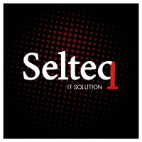 SELTEQ Solutions logo