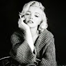 Lynn D