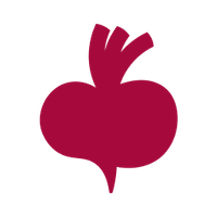 Beetroot Academy logo
