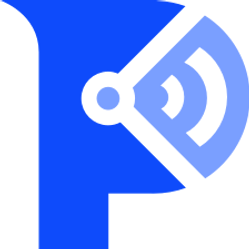 Paladin Cyber logo