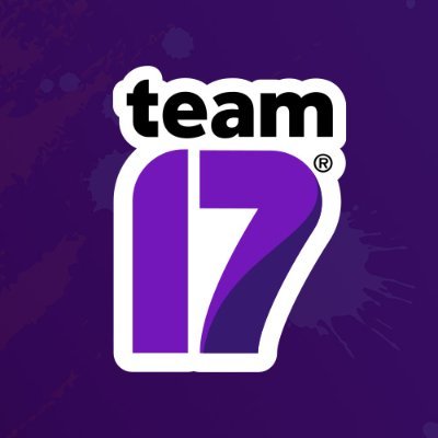 Team 17 Digital