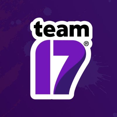 Team 17 Digital logo