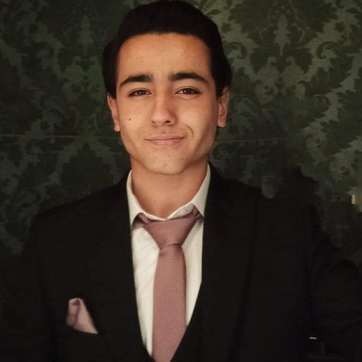 Abdelrahman Alkerdawy