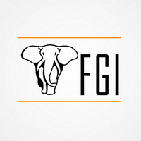 FGI logo