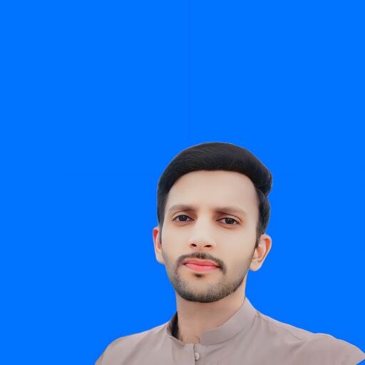 Raja Anas Shafique