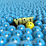 vidit yagnik