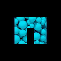 NetApp India Pvt Ltd. logo