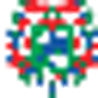 College of Physicians and Surgeons Pakistan logo