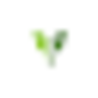 KT Group logo