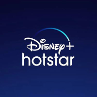 DISNEY STREAMING logo