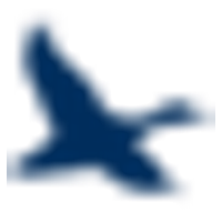 Chesapeake Financial Shares, Inc. logo