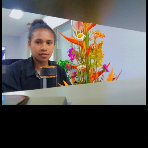 Delian Propis