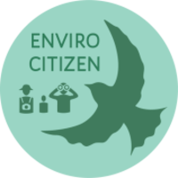 New Europe College logo