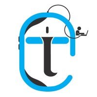 Times IT logo