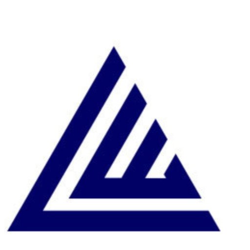 leadwise managing consultant logo