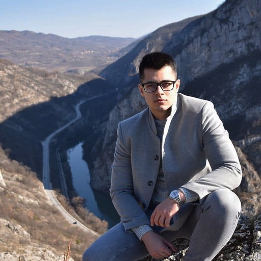 vladimir rudic