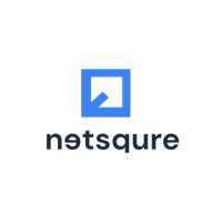 Netsqure Technologies logo