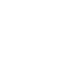 Vistula University logo
