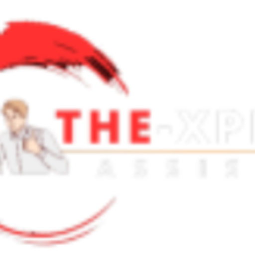 thexpertassist logo